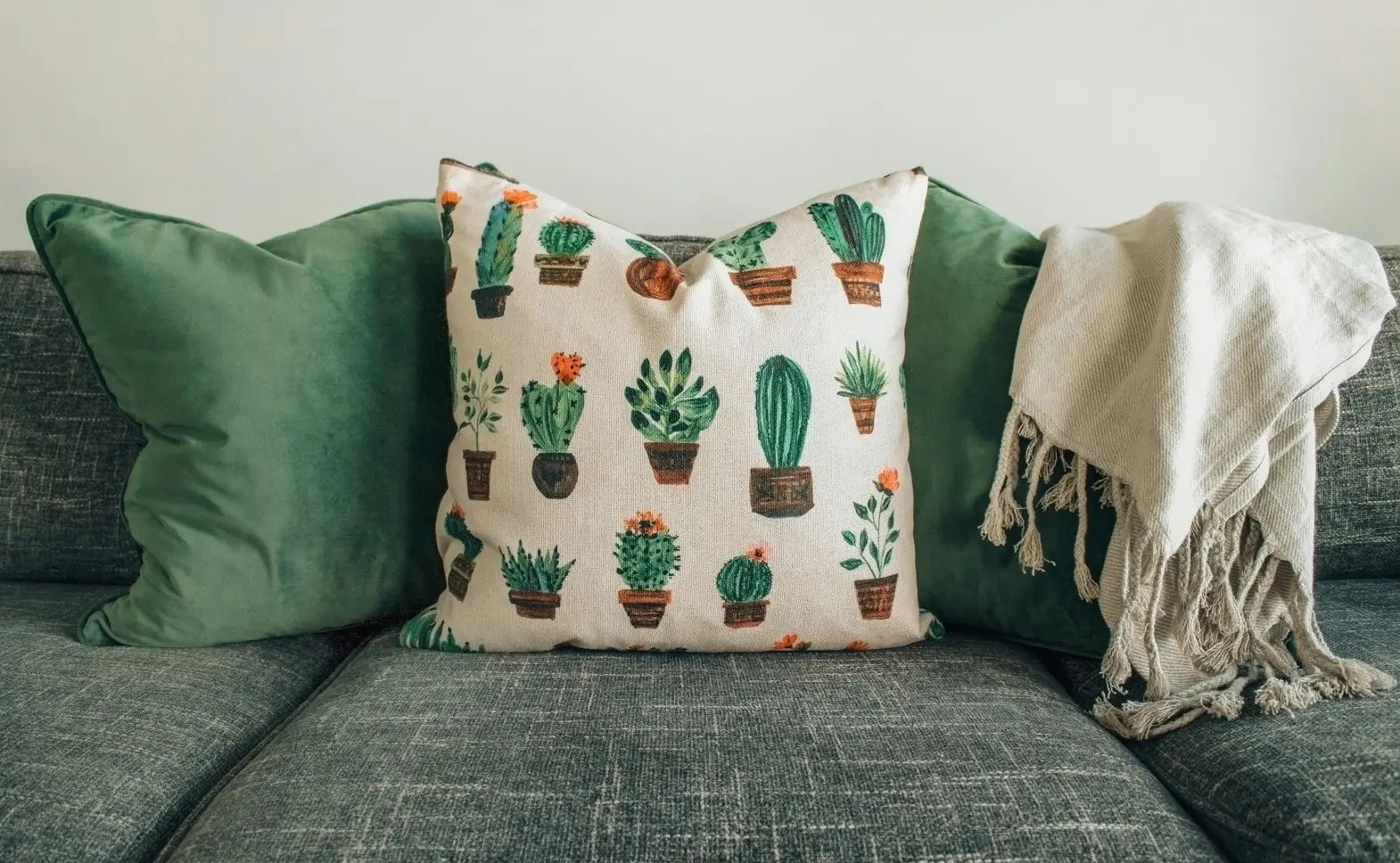 pexels-designecologist-1248583 pexels-designecologist-1248583